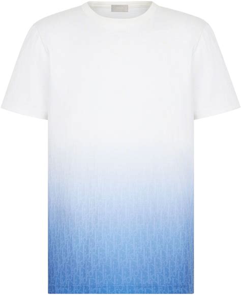dior white and blue shirt